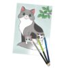 libro para colorear Graffy