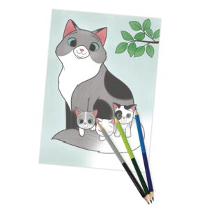 libro para colorear Graffy